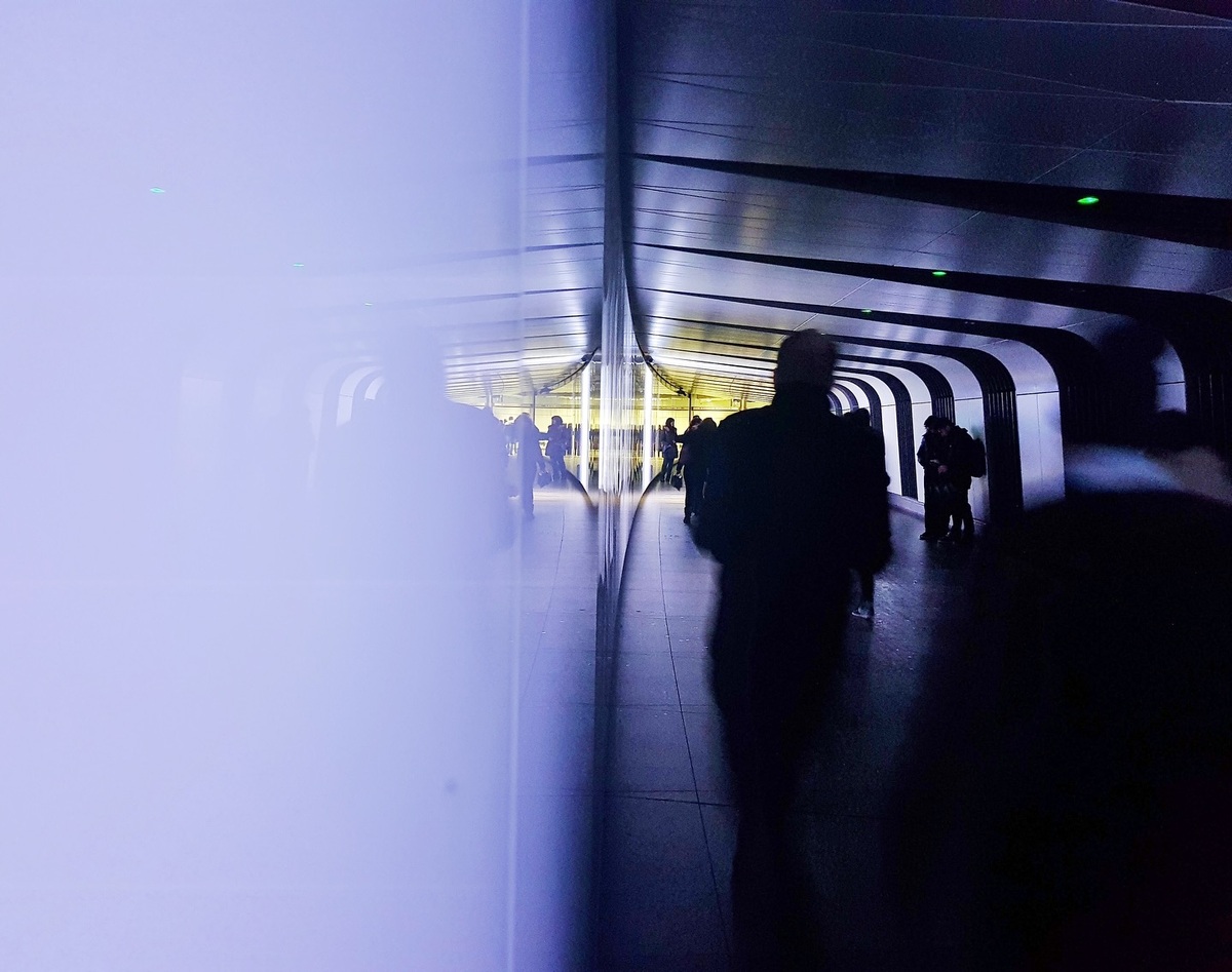 Shadows and Silhouettes